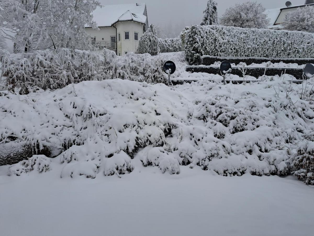 Vakantiehuis Elise Winterberg Kültér fotó